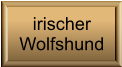 irischer  Wolfshund