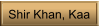 Shir Khan, Kaa